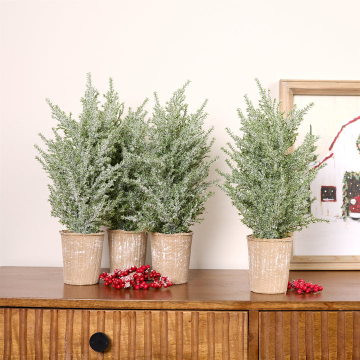 Potted Icy Pine Tree