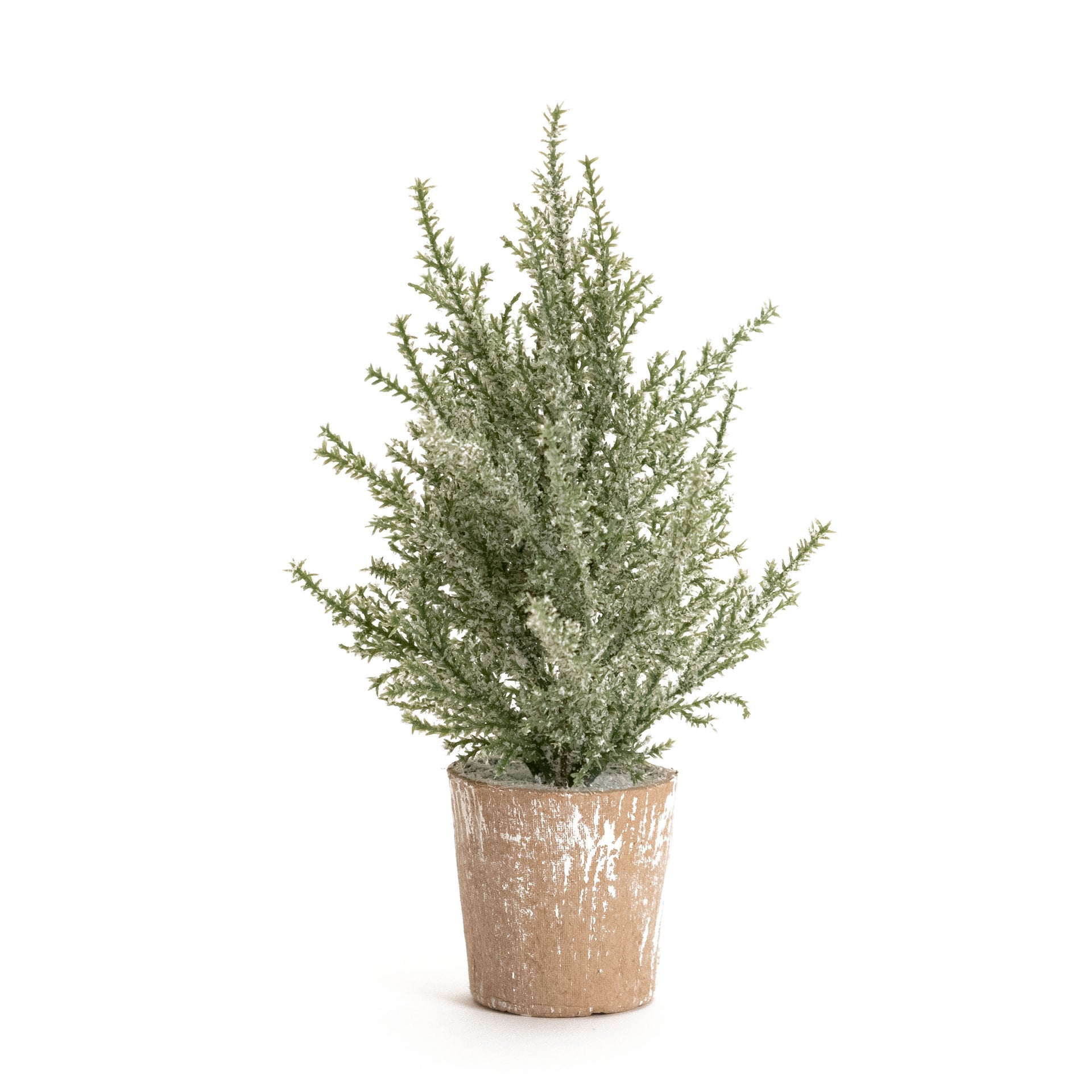 Potted Icy Pine Tree