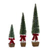 Potted Tree