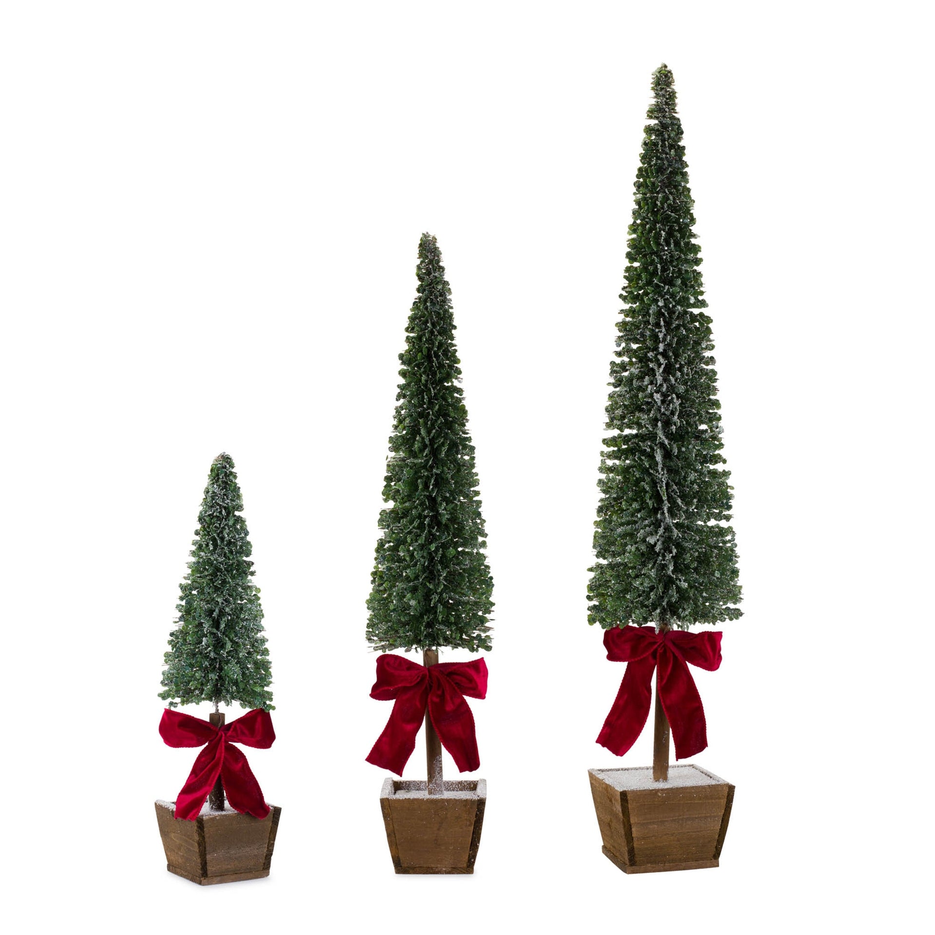 Potted Tree