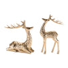 Gold Deer