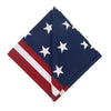 American flag patterned napkin on a white background