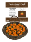 Pumpkin Seeds of Thought