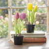 Hop Into Spring Faux Floral Tulip