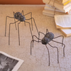 Clay and Wire Spiders