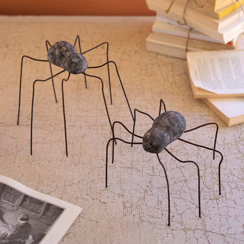 Clay and Wire Spiders