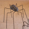 Clay and Wire Spiders