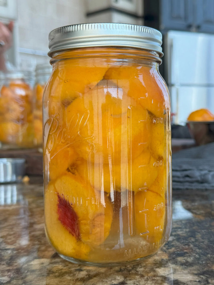 Cooking Class: Steam Canning Fruit with Annie Wright Aug 26th at 11 am