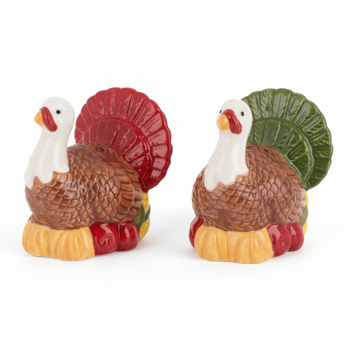 Turkey Salt & Pepper Shakers (2 piece set)