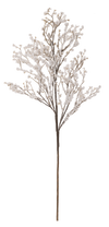 Berry Spray