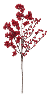 Red Berry Spray