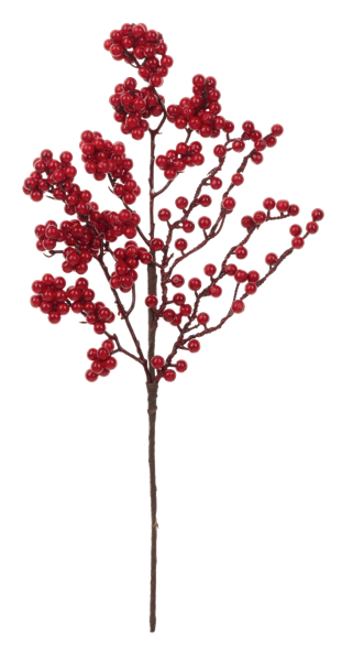 Red Berry Spray