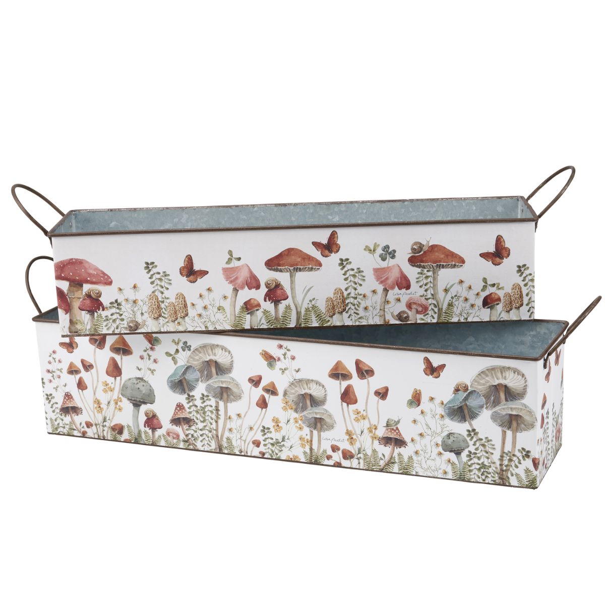 PBK-116657-L