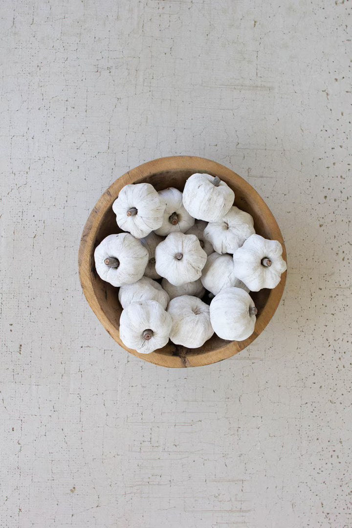 Bag of 15 Dried Miniature Faux Pumpkins - White