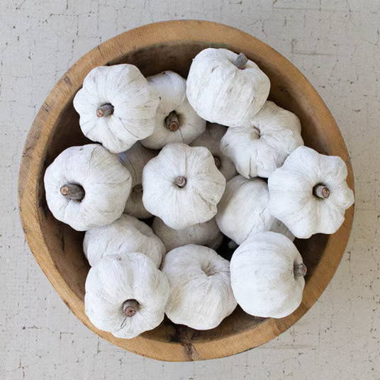 Bag of 15 Dried Miniature Faux Pumpkins - White