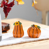 Two decorative pumpkins salt and pepper shakers with sunflower designs on a table with autumn leaves.