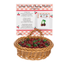 Basket of cherry charms with packaging labeled 'Love You Cherry Much' on a white background