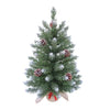 Lightly Frosted Fir Tree
