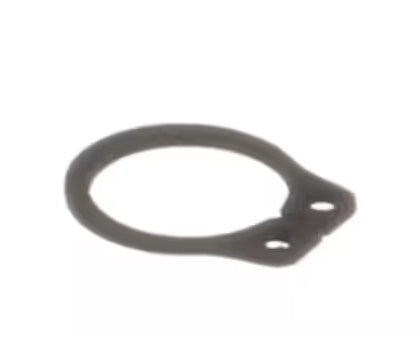 Retaining Ring