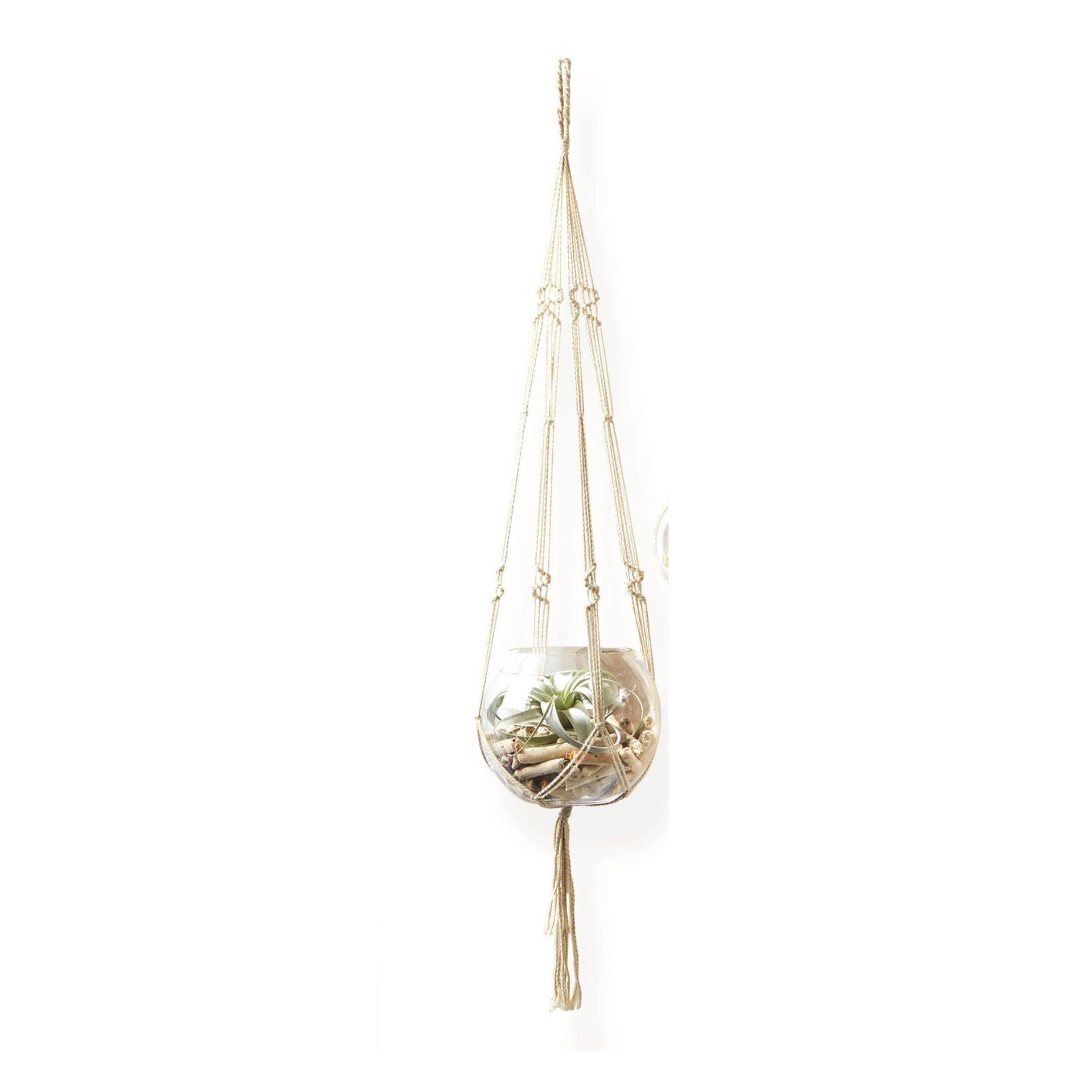 Plant/Candle Holder Glass Small