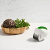 Herb Mincer