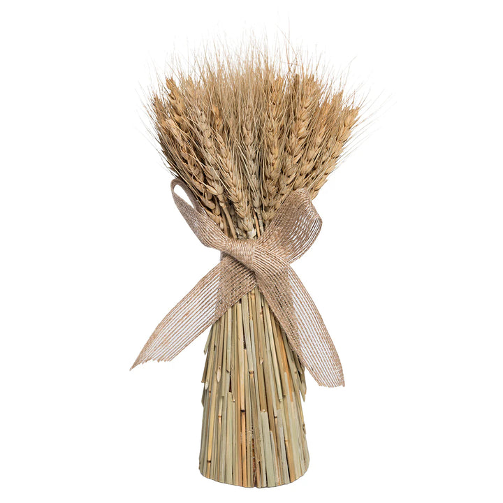 Bunch of dried wheat tied with a ribbon on a white background