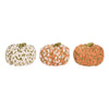 Large Wooly Pumpkins