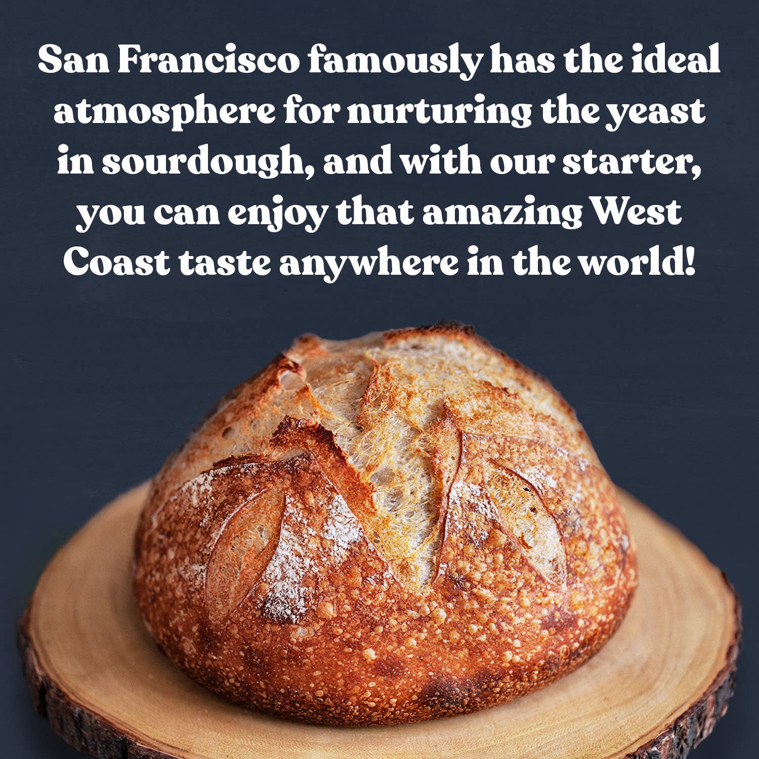 Sourdough bread on a wooden board with promotional text about San Francisco's climate and sourdough.