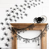 Glittered Wall Spiders