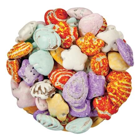 Chocolate Beach Seashells 24lbs (dis)