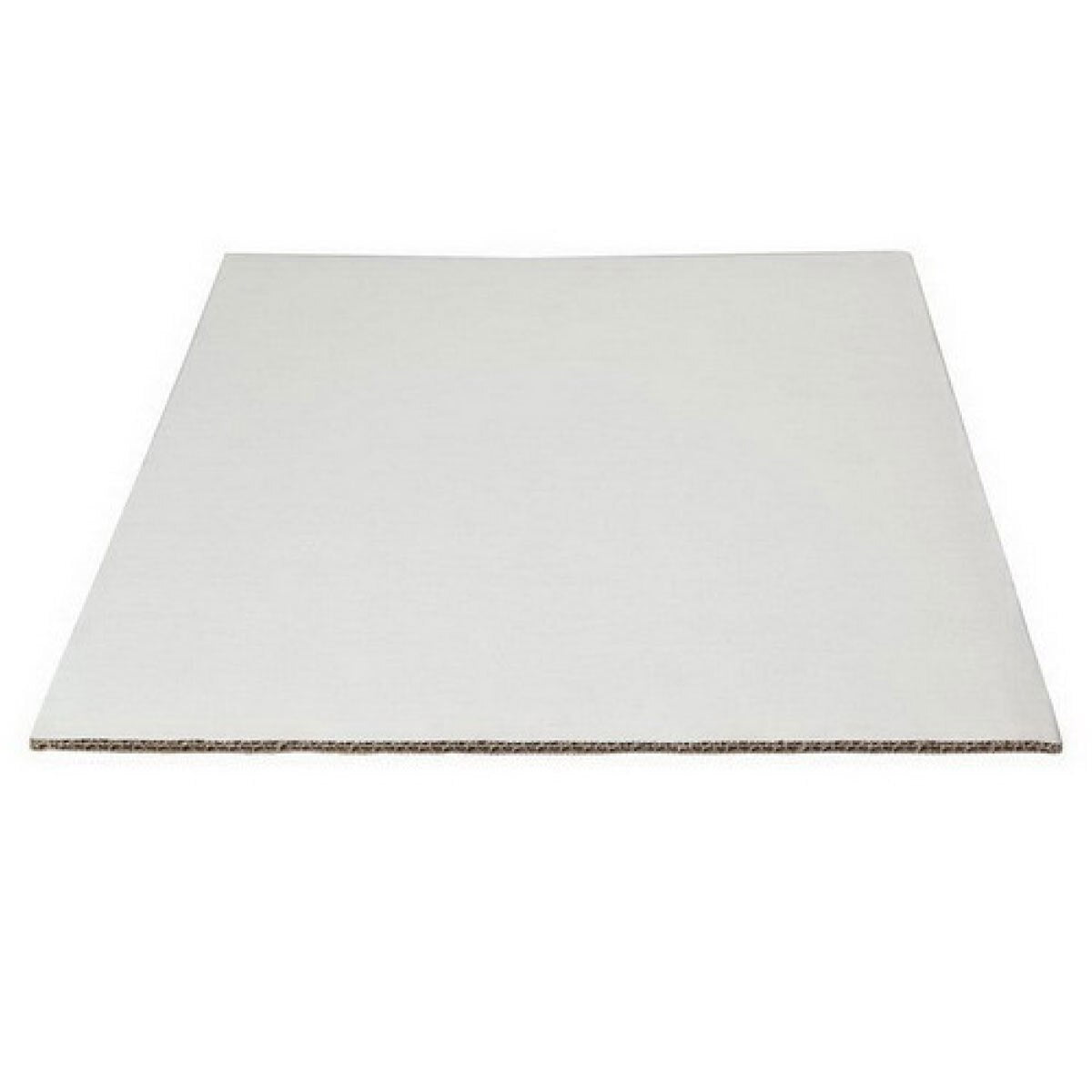 PAP-C3630380
