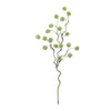 Snowball Branch 30"