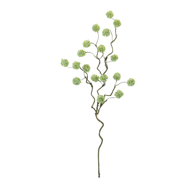 Snowball Branch 30"