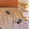 Clay and Wire Spider