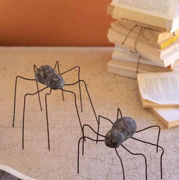 Clay and Wire Spider