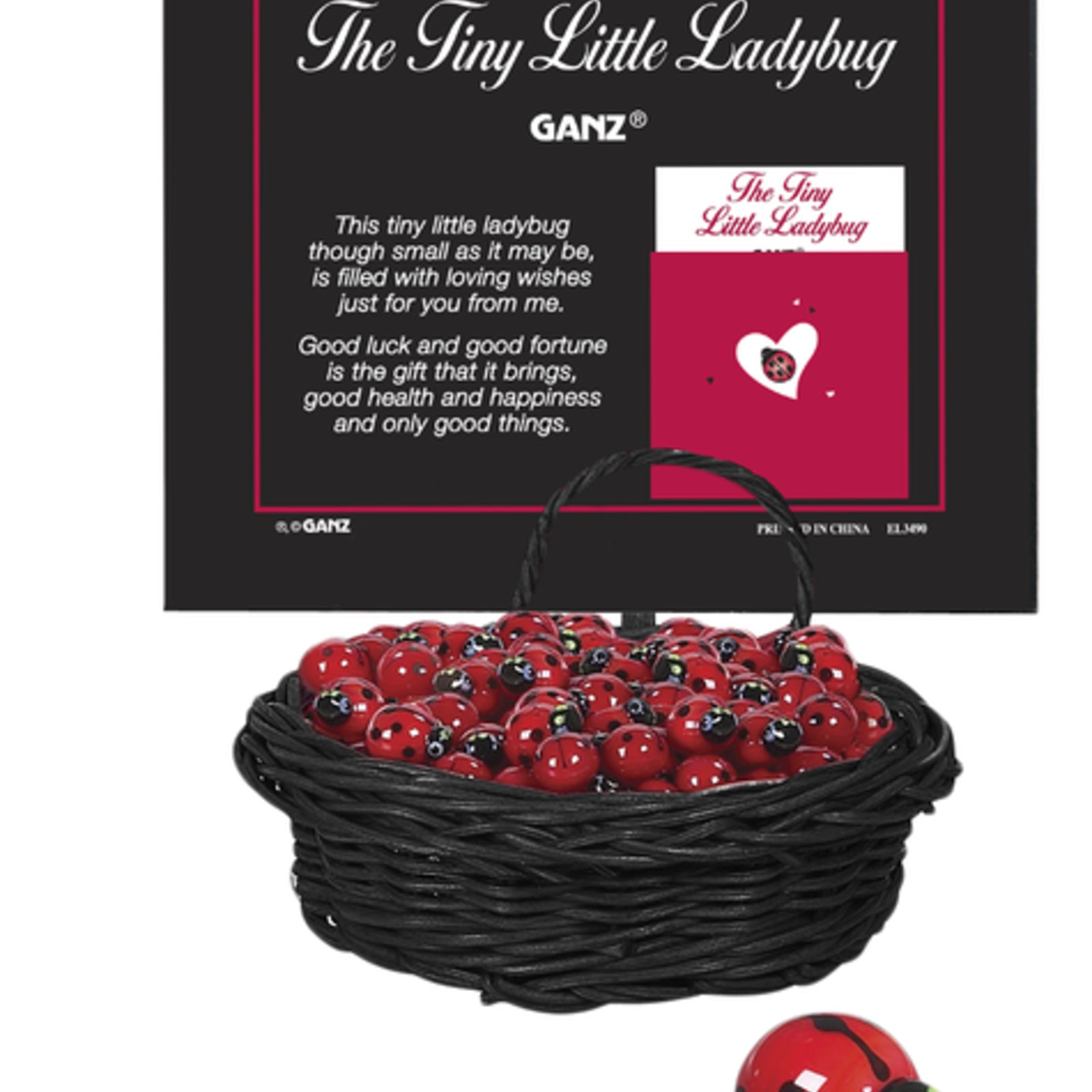 Little Lady Bugs 48/Cs