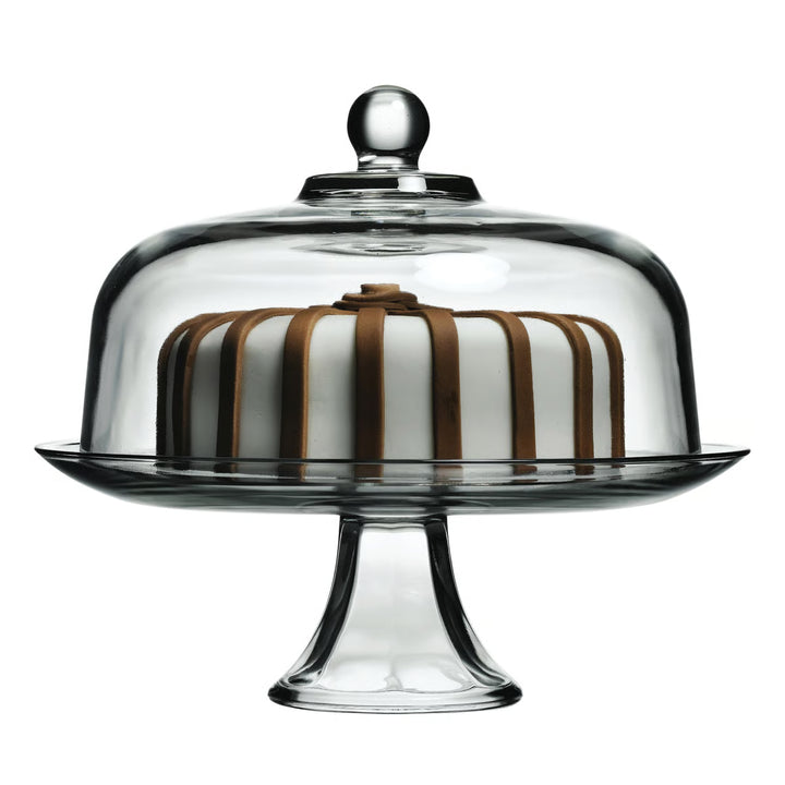 Striped cake under a glass dome on a white background
