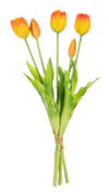 Bouquet of orange and yellow tulips on a white background
