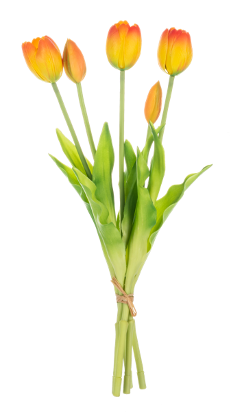 Bouquet of orange and yellow tulips on a white background