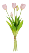 Bouquet of pink tulips with green leaves on a white background