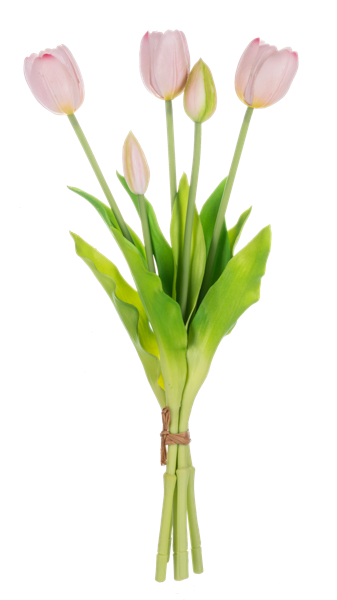 Bouquet of pink tulips with green leaves on a white background