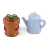 Small terracotta pot with a green plant and blue watering can on a white background
