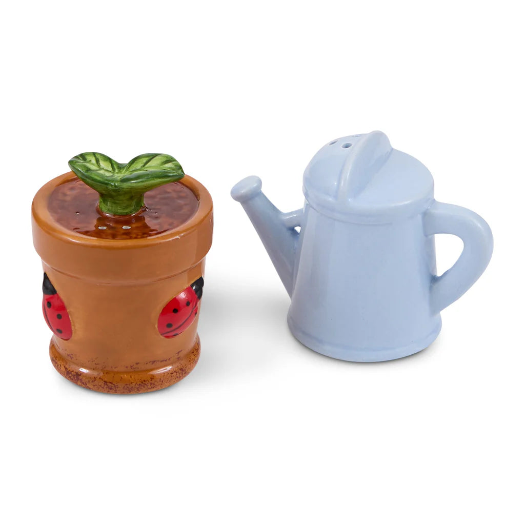 Small terracotta pot with a green plant and blue watering can on a white background