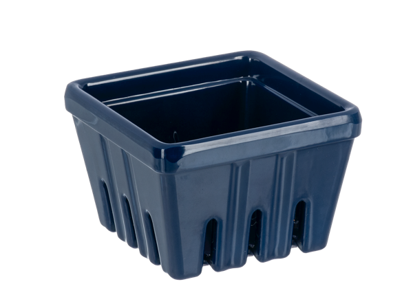 Dark Blue Berry Container