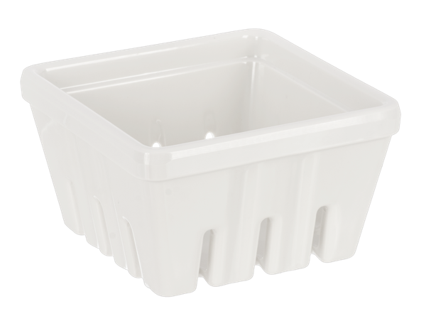 White Berry Container