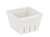 White Berry Container