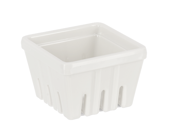 White Berry Container