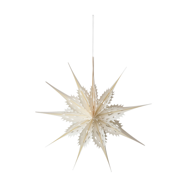 A ten-point star-shaped decorative hanging object on a white background